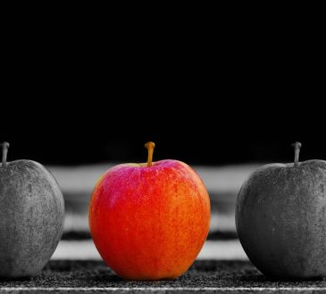 3 stratégies en orientation pour mieux aider un extraterrestre en détresse