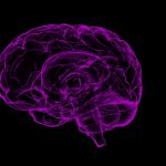 Indécision scolaire et professionnelle : et si le cerveau des ados nous éclairait un peu.