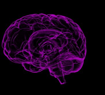Indécision scolaire et professionnelle : et si le cerveau des ados nous éclairait un peu.