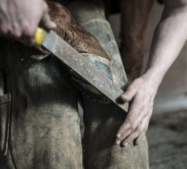 3 raisons de s’intéresser aux métiers qualifiés