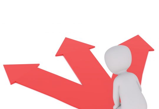 Démarche d’orientation auprès de clients autistes : se donner le temps d’intervenir différemment