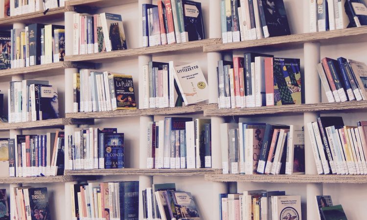 10 livres publiés dernièrement qui ont retenu notre attention