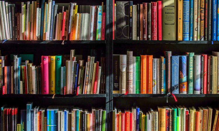 Parmi tous les livres publiés dernièrement, en voici 6 qui ont retenu notre attention