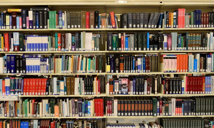 7 livres publiés dernièrement qui ont retenu notre attention