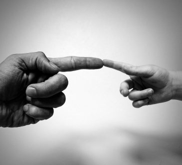 Les axiomes du développement de carrière