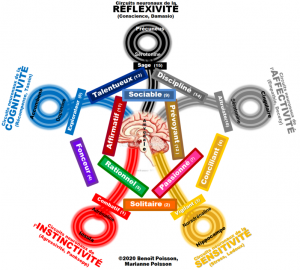 Tableau 2
