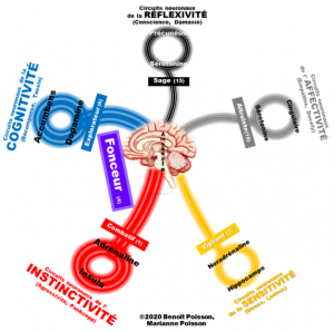 Tableau 4