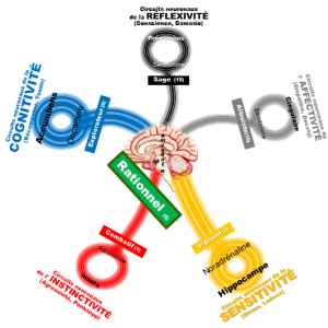 Tableau 5