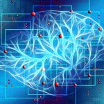 Changez votre Mindset, changez votre vie!