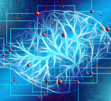 Changez votre Mindset, changez votre vie!