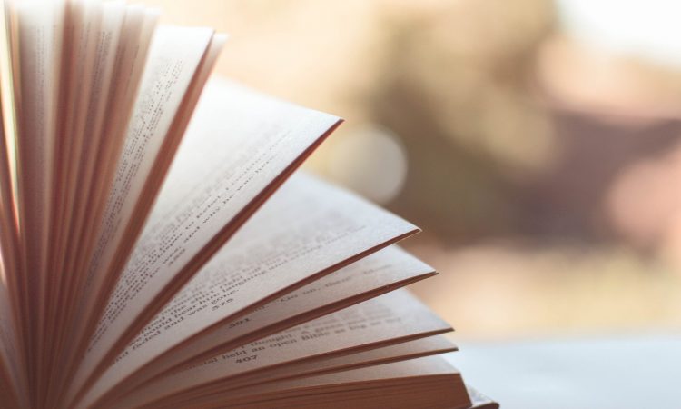 4 livres publiés dernièrement qui ont retenu notre attention
