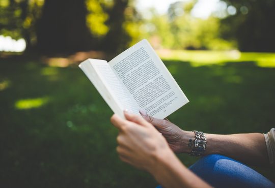 4 suggestions de livres pour les vacances!