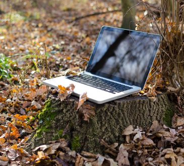 4 événements en ligne à ne pas manquer à l’automne 2021