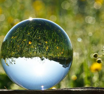 La loi de l’effort inversé
