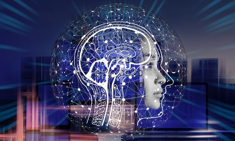 Les tests de QI sont-ils culturellement biaisés?