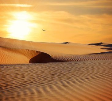 Des métaphores sur le sable pour explorer sa vie
