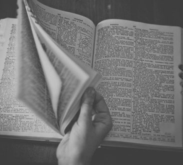 DICOCARRIÈRE, un indispensable en orientation et développement de carrière