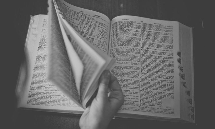 DICOCARRIÈRE, un indispensable en orientation et développement de carrière