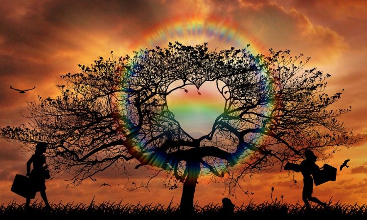 5 ressources pour supporter la clientèle LGBTQ+ en milieu de travail