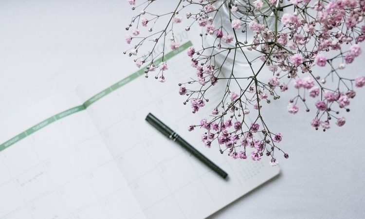 5 formations et activités à venir en décembre 2022