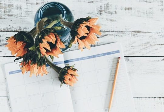 5 événements à ne pas manquer au printemps 2023
