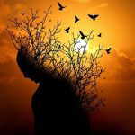 Les transitions, une expérience de deuil