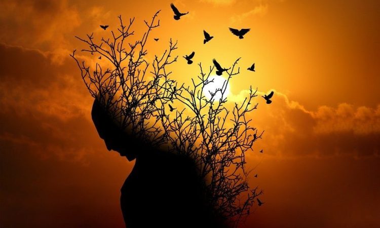 Les transitions, une expérience de deuil
