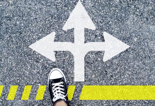 Origine du concept INDIVIDU-TRAVAIL-FORMATION