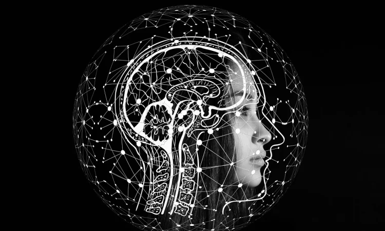 Révolution numérique : de l’informatique à l’intelligence artificielle