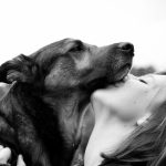 Les motivations à intégrer la zoothérapie dans l’intervention en relation d’aide