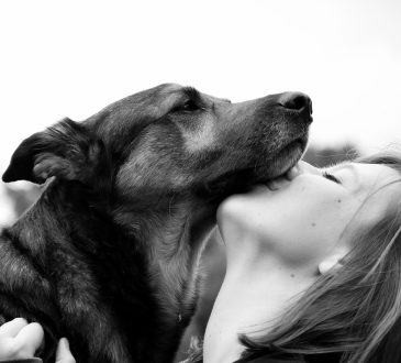 Les motivations à intégrer la zoothérapie dans l’intervention en relation d’aide