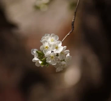 Pour le printemps qui se pointera le nez sous peu, nous vous suggérons ces 4 formations que vous ne voulez pas manquer.