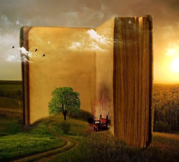 8 livres pour mieux comprendre les traumatismes chez différentes clientèles