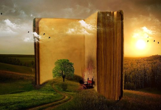 8 livres pour mieux comprendre les traumatismes chez différentes clientèles 