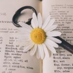 7 mots qui n’entrent pas dans mon bureau