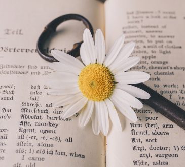 7 mots qui n’entrent pas dans mon bureau