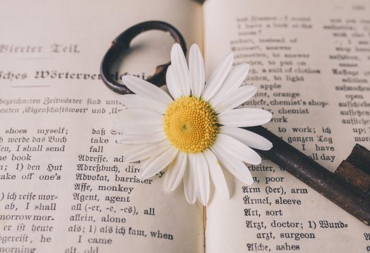 7 mots qui n’entrent pas dans mon bureau
