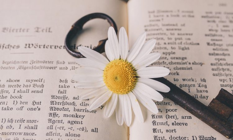 7 mots qui n’entrent pas dans mon bureau