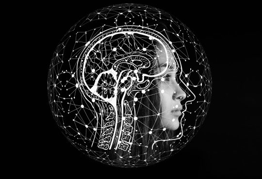 Cybervaleurs : mon assistant virtuel