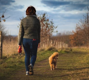 Les effets de la marche sur la santé en général sont assez connus, mais moins ceux sur la santé cognitive alors qu’ils sont pourtant spectaculaires.  