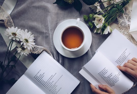 Parmi tous les livres publiés dernièrement, en voici 7 qui ont retenu notre attention et qui pourraient vous intéresser.