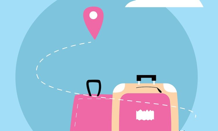 Valises