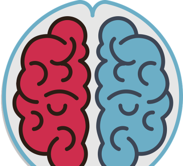 Cerveau