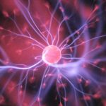 Neurones