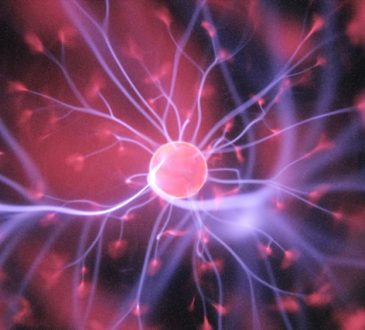 Neurones