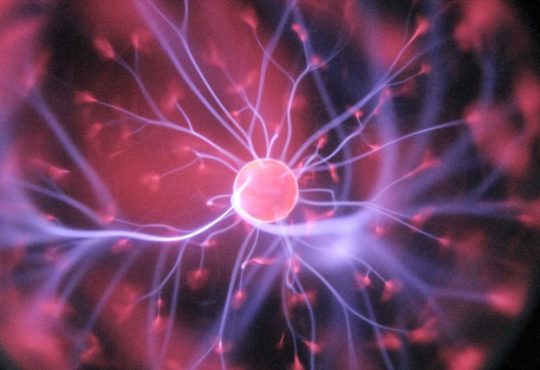 Neurones